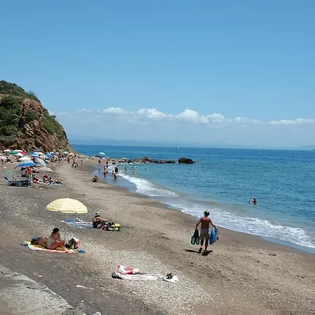 Le Maree Fede