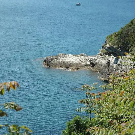 Le Maree Fede